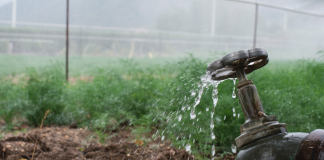 Sistemi di tenuta: componenti essenziali per il funzionamento delle reti idriche tenute per reti idriche