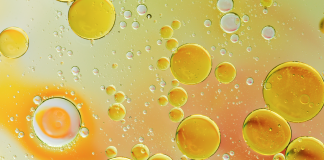 Lubrificare un elemento di tenuta: l’importanza della compatibilità compatibilità elastomeri