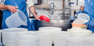 Produzione senza contaminazioni: un caseificio in Germania ha scelto le guarnizioni Detectaseal industria alimentare