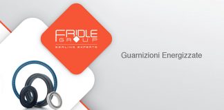 Guarnizioni energizzate a molla guarnizioni energizzate a molla