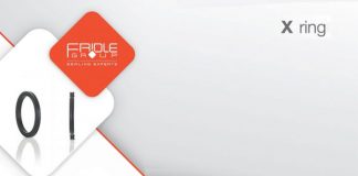 X ring: caratteristiche, vantaggi e applicazioni X Ring